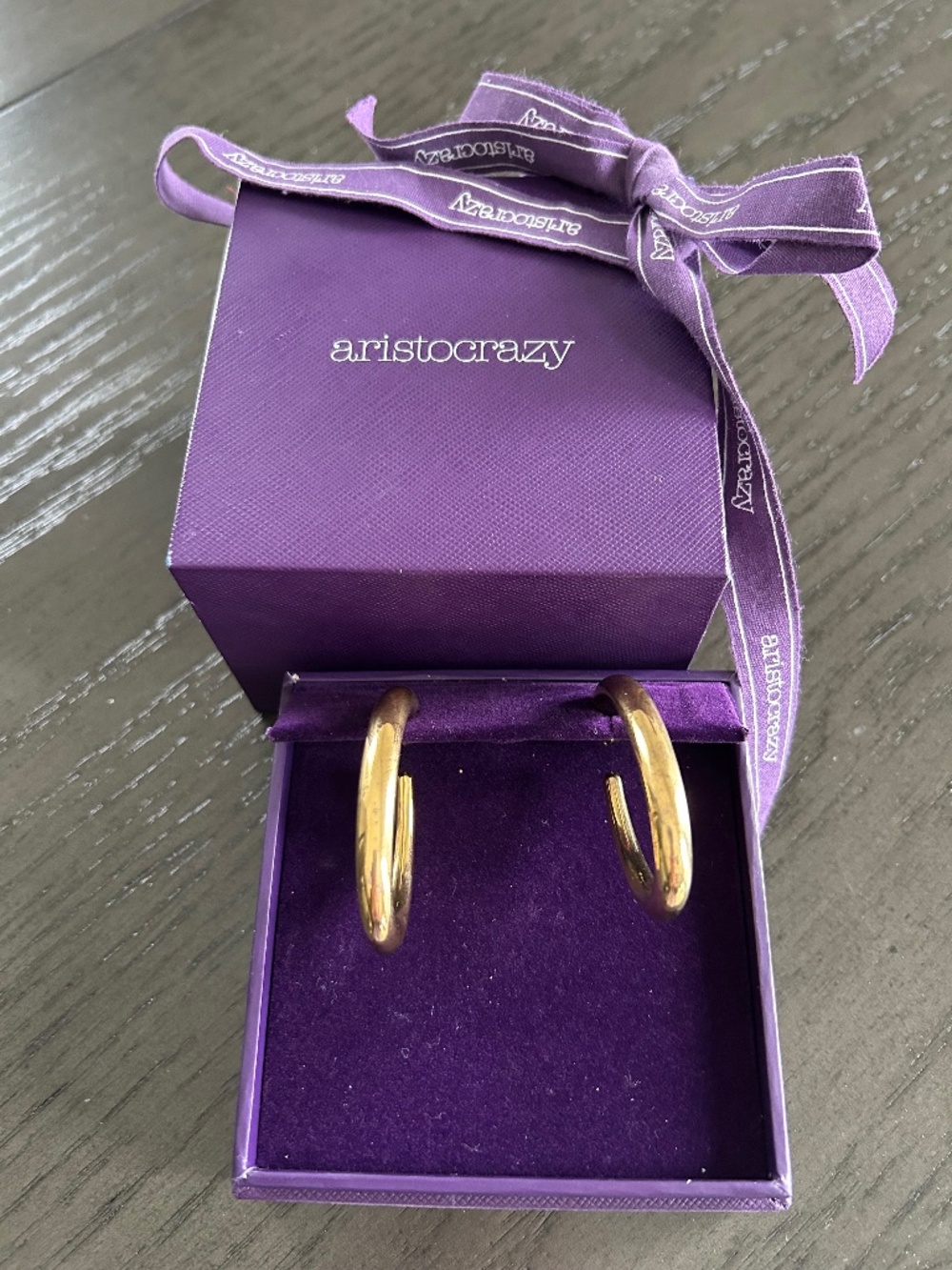Large Oval  Hoop Earrings